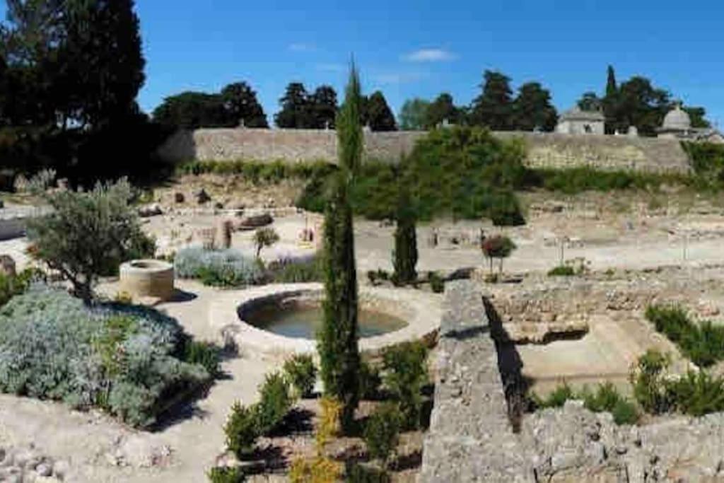 Soleil Sucre T2 Centre Historique De Narbonne Narbona Exterior foto
